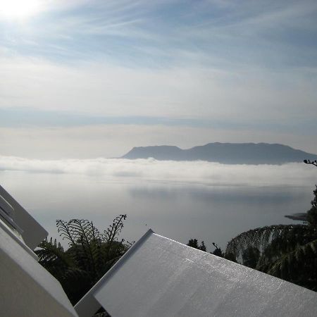 Te Whare -Lake Tarawera Tree-Top Nest Hotell Exteriör bild